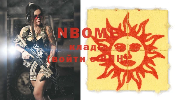гашик Касимов