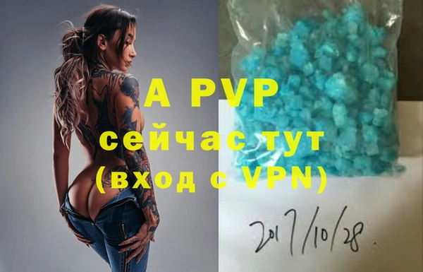 ГАЛЛЮЦИНОГЕННЫЕ ГРИБЫ Карпинск